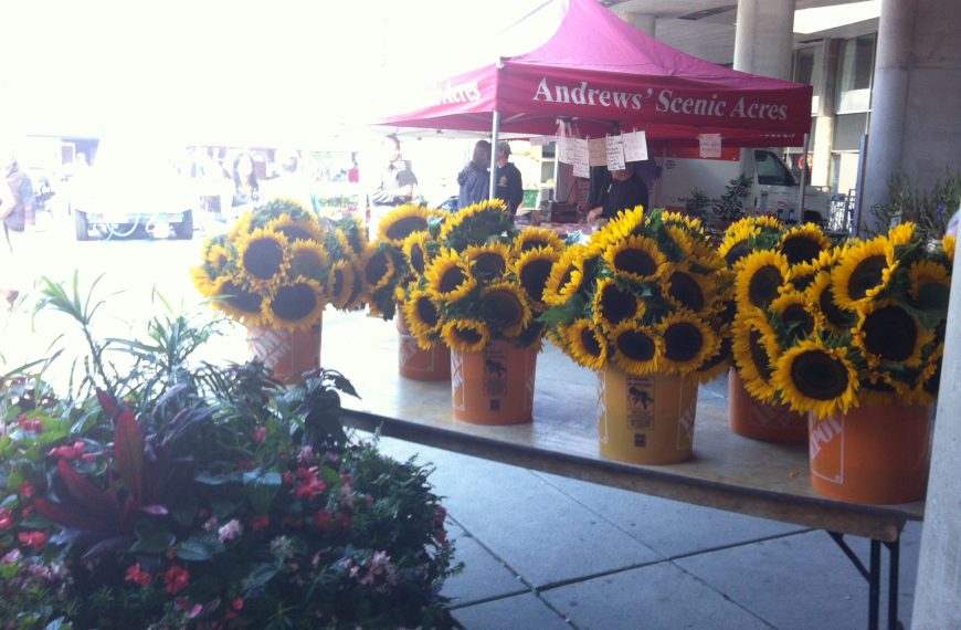 The Nathan Phillips Square farmer’s market