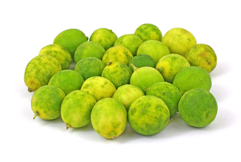 What are key limes?