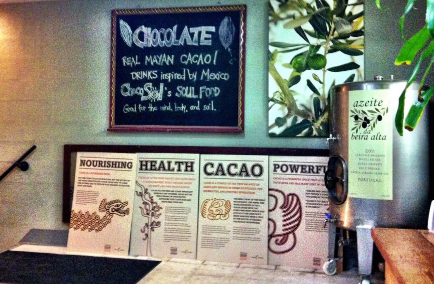 ChocoSol Traders – Jaguar chocolate workshop