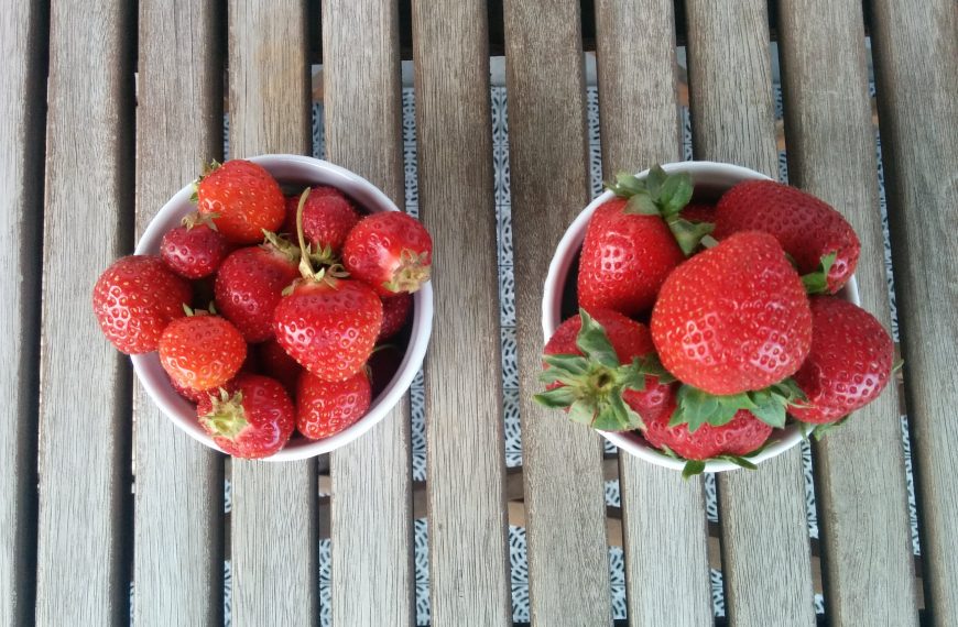 One day I will go strawberry picking
